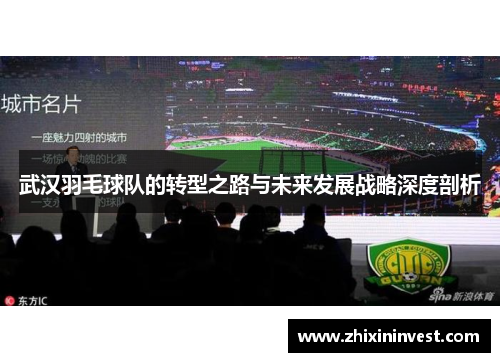 武汉羽毛球队的转型之路与未来发展战略深度剖析